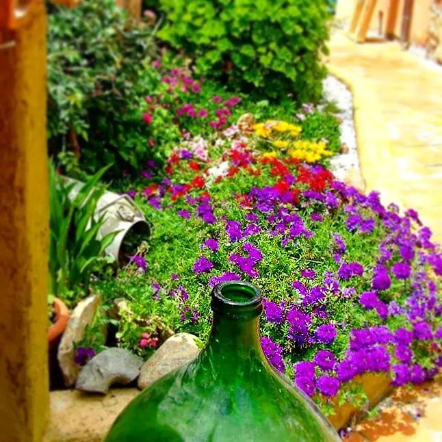 B&B Sa Specula Iun E4404 San Vito Panzió