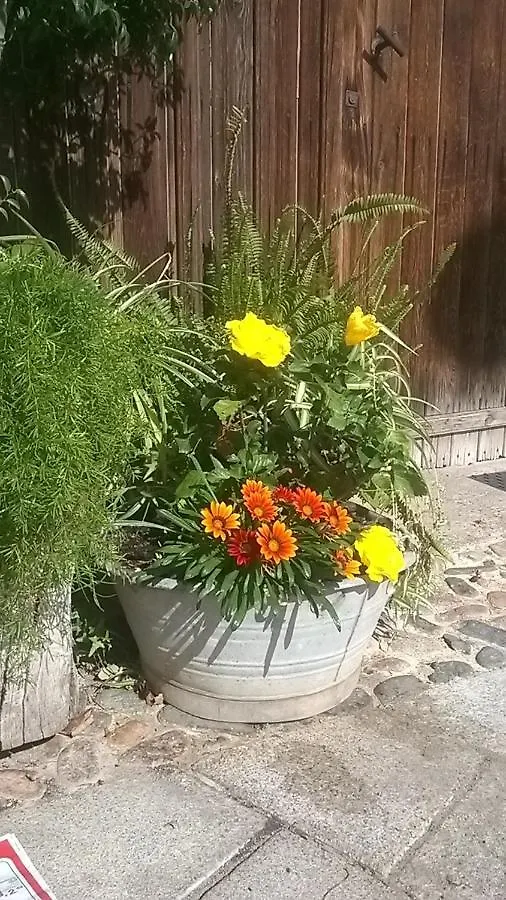 B&B Sa Specula Iun E4404 San Vito
